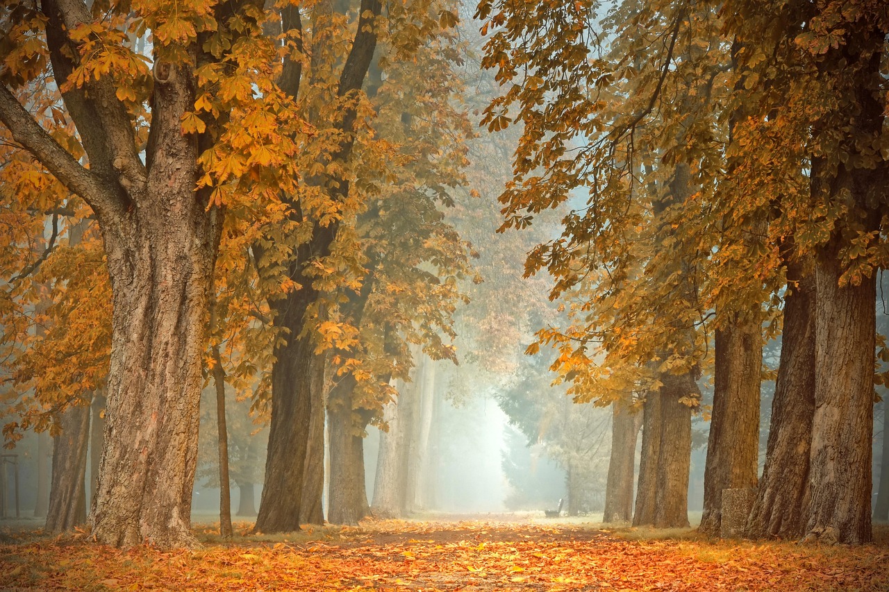 Dikke houten jaloezieën voor energiezuinige herfst.