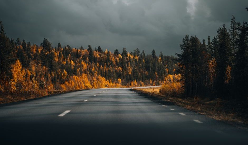 Motor poster kopen gids voor de herfst